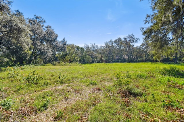 1810 Curry Rd, Lutz, FL 33549