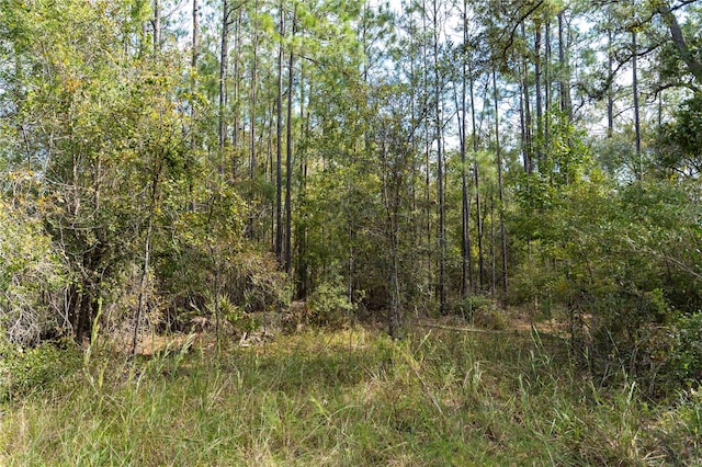 SE 918th St, Old Town FL, 32680 land for sale