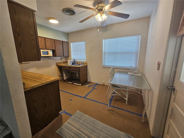 kitchen featuring ceiling fan and sink