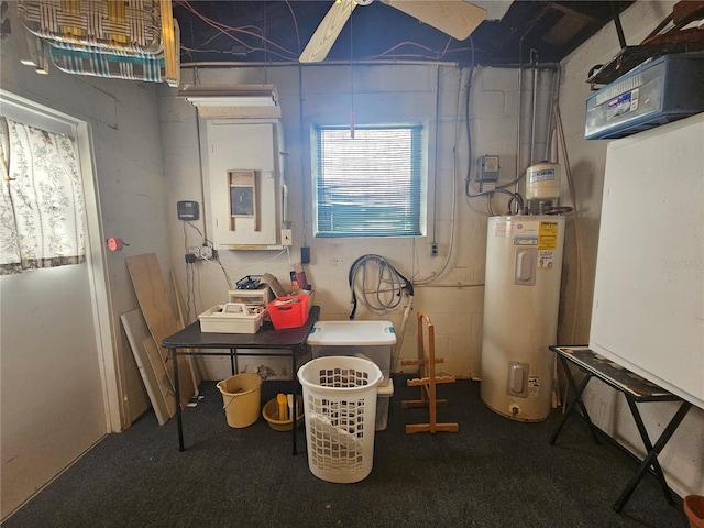 utility room with electric panel and water heater