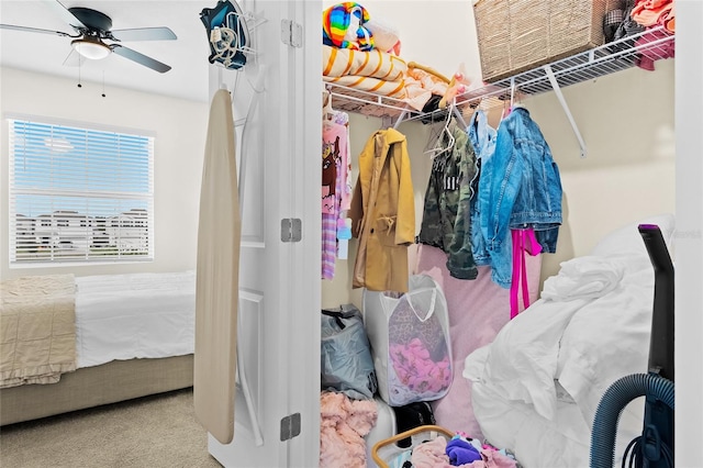 spacious closet with carpet floors and ceiling fan