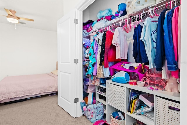 view of closet