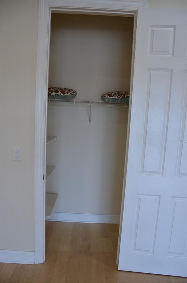 view of closet