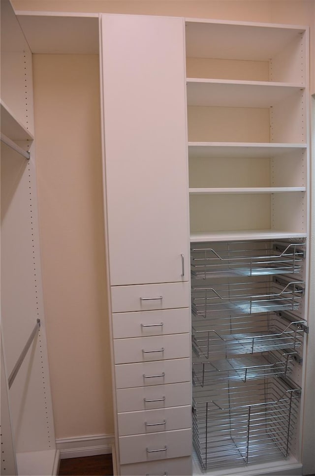 view of spacious closet