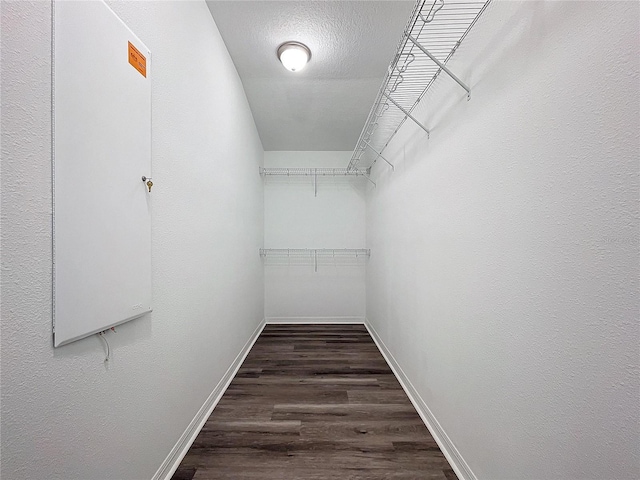 walk in closet with dark wood-type flooring