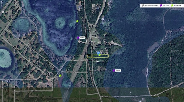 NE 130th Ct, Fort Mc Coy FL, 32134 land for sale