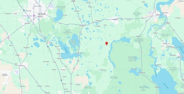 NE 130th Ct, Fort Mc Coy, FL 32134 - photo 2