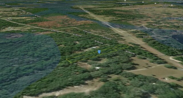 NE 130th Ct, Fort Mc Coy, FL 32134 - photo 3