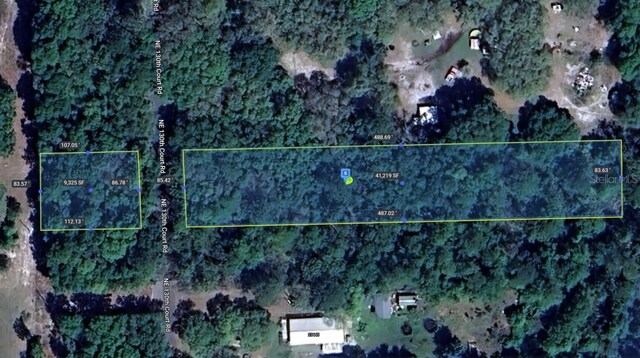 NE 130th Ct, Fort Mc Coy, FL 32134 - photo 4