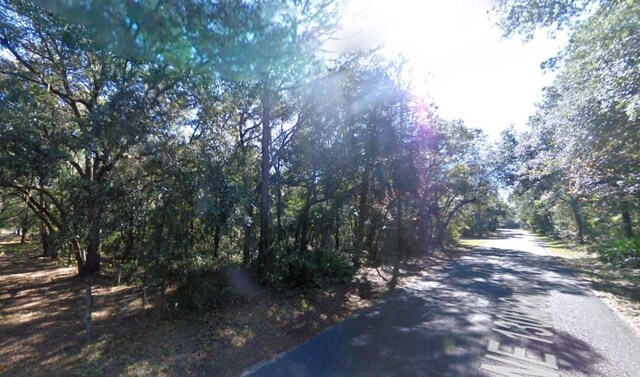 NE 130th Ct, Fort Mc Coy, FL 32134 - photo 6