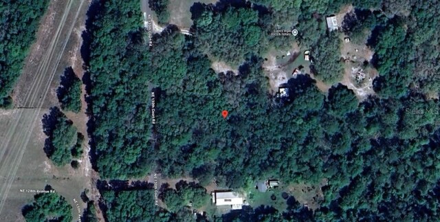 NE 130th Ct, Fort Mc Coy, FL 32134 - photo 7