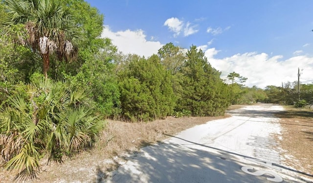 11372 S Ann Pt, Homosassa, FL 34448 - photo 5
