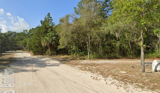 11372 S Ann Pt, Homosassa, FL 34448 - photo 8