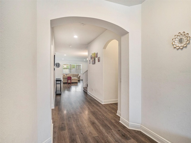 hallway with dark hardwood / wood-style floors