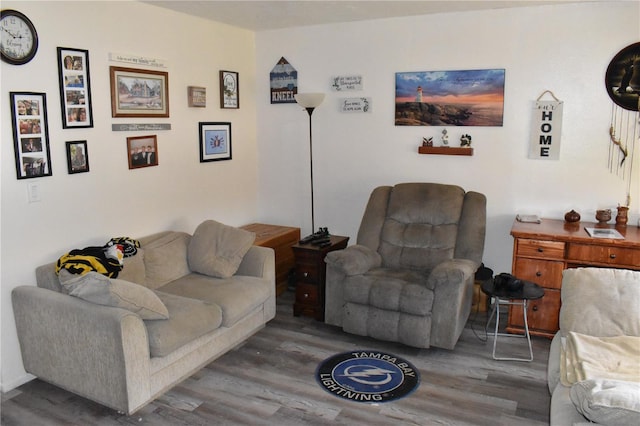 living room with hardwood / wood-style floors