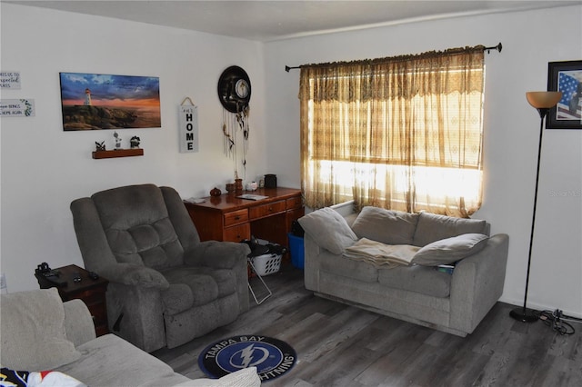 living room featuring dark wood-type flooring