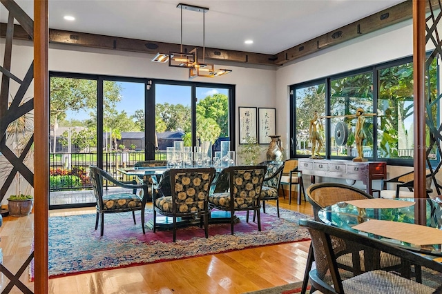 dining room featuring hardwood / wood-style flooring and a healthy amount of sunlight