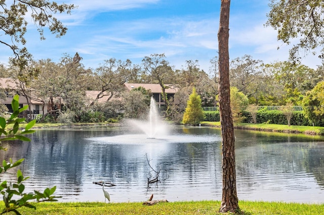 property view of water