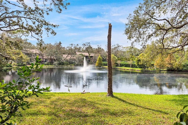 property view of water