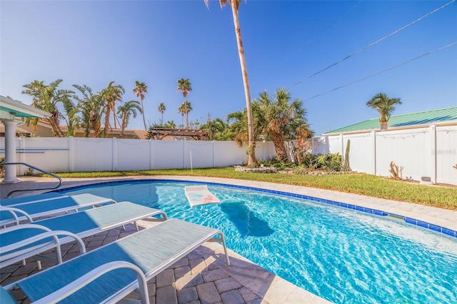 view of pool featuring a patio area