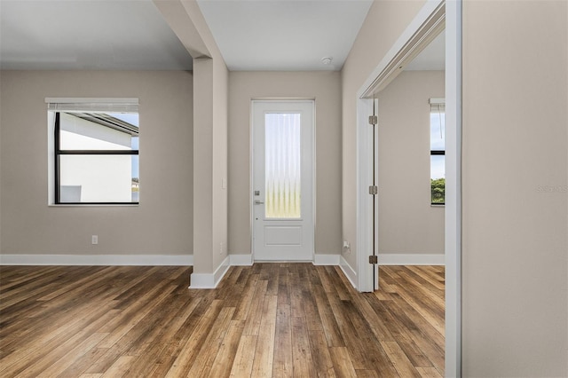 foyer featuring plenty of natural light and dark hardwood / wood-style floors