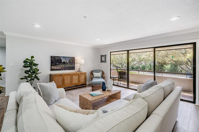 living room featuring crown molding, light hardwood / wood-style flooring, and a textured ceiling