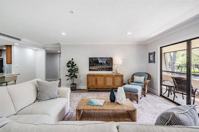 living room featuring ornamental molding and a textured ceiling