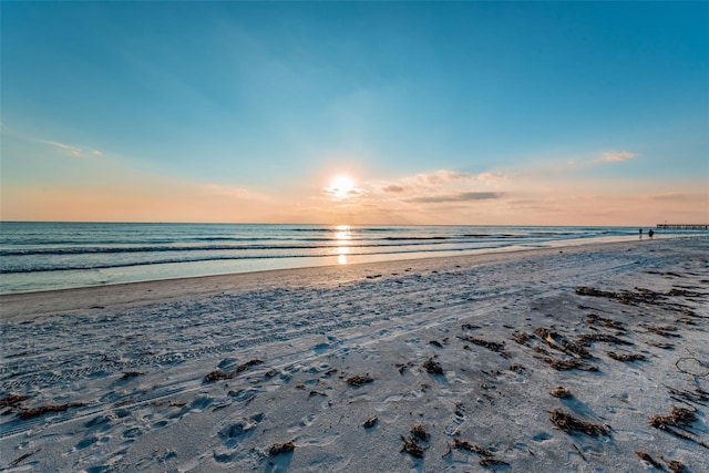 property view of water with a beach view