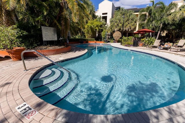 view of swimming pool featuring a patio