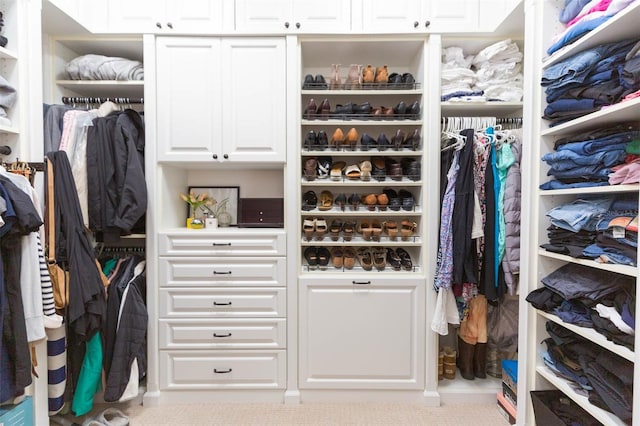 view of walk in closet