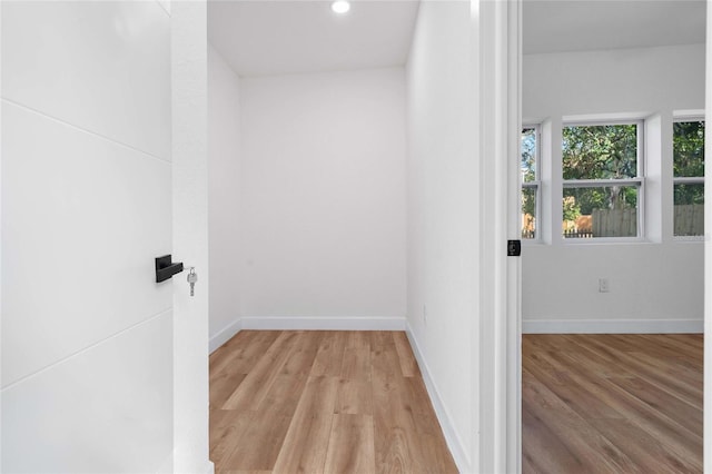 walk in closet featuring light hardwood / wood-style floors