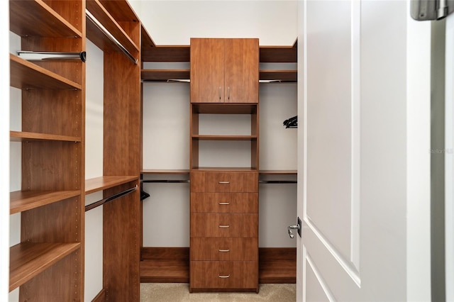 spacious closet featuring light colored carpet