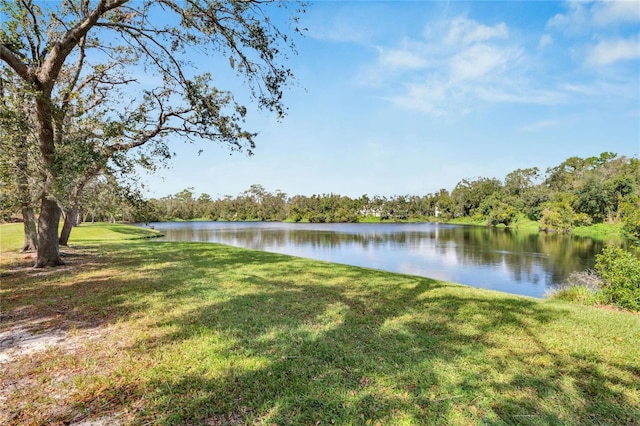 property view of water