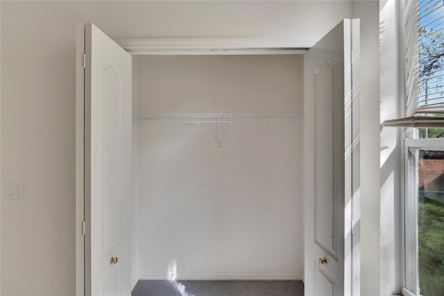 view of closet