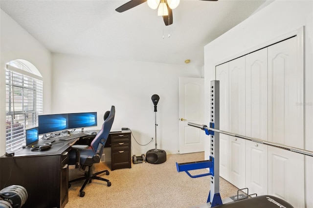 carpeted office featuring ceiling fan