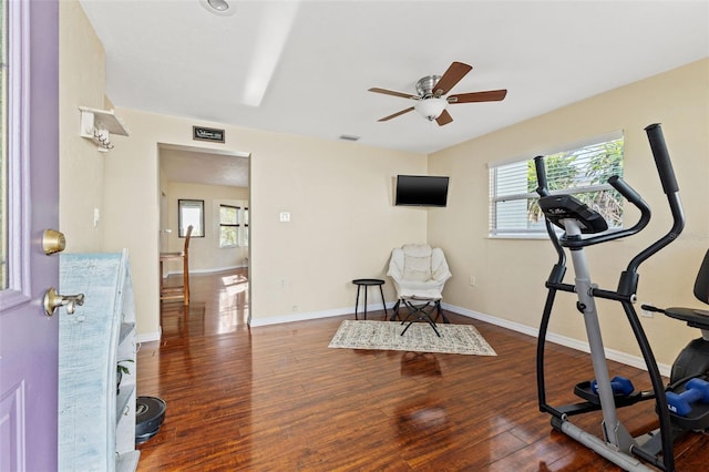 workout room with ceiling fan, dark hardwood / wood-style flooring, and plenty of natural light