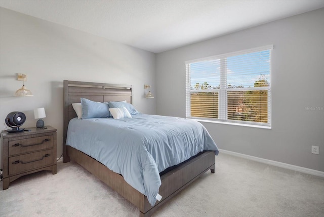 8607 Canyon Creek Trl, Parrish, FL 34219 - bedroom featuring light carpet and baseboards