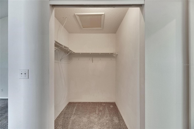 spacious closet with carpet