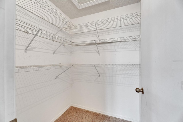 spacious closet with carpet flooring