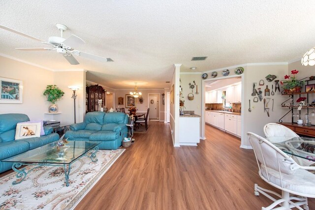 3006 Bolt Dr, Palm Harbor, FL 34685 - photo 14