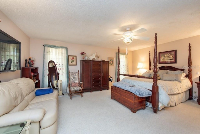 3006 Bolt Dr, Palm Harbor, FL 34685 - photo 24