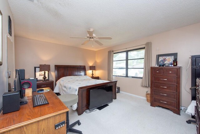 3006 Bolt Dr, Palm Harbor, FL 34685 - photo 28