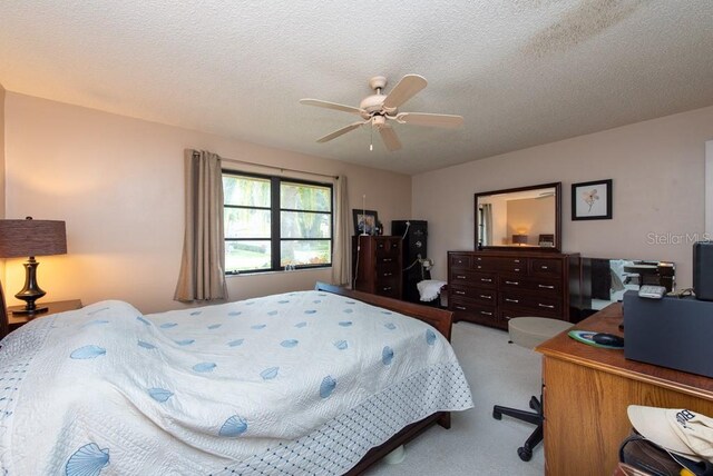 3006 Bolt Dr, Palm Harbor, FL 34685 - photo 30