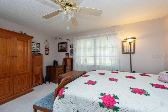 3006 Bolt Dr, Palm Harbor, FL 34685 - photo 33
