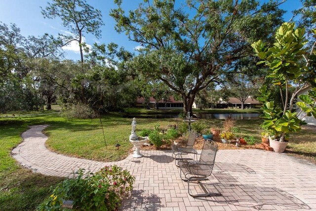 3006 Bolt Dr, Palm Harbor, FL 34685 - photo 42