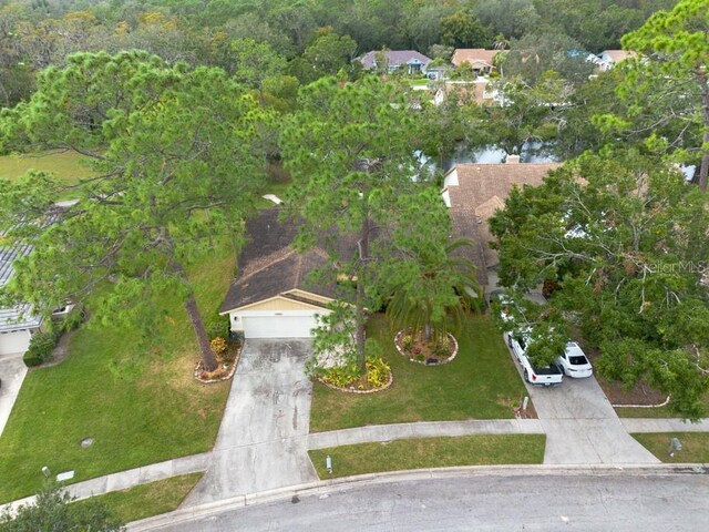 3006 Bolt Dr, Palm Harbor, FL 34685 - photo 48