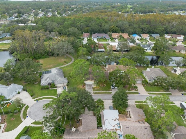 3006 Bolt Dr, Palm Harbor, FL 34685 - photo 49