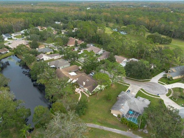 3006 Bolt Dr, Palm Harbor, FL 34685 - photo 51