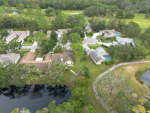 3006 Bolt Dr, Palm Harbor, FL 34685 - photo 52