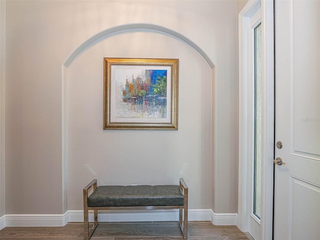 sitting room featuring hardwood / wood-style floors